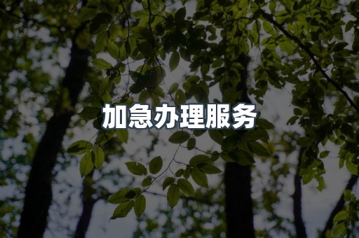 加急办理服务